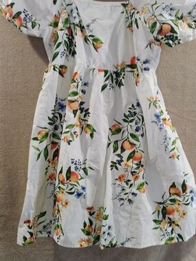 Girls White Floral Fruit Print Dress